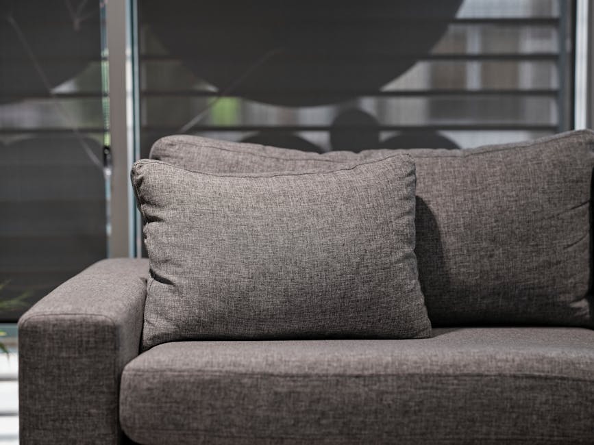 Specialist carefully cleaning an upholstery sofa